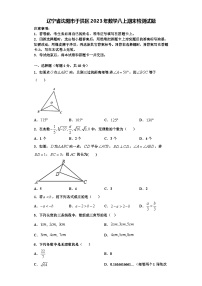 辽宁省沈阳市于洪区2023年数学八上期末检测试题【含解析】