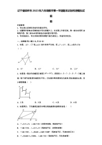 辽宁省铁岭市2023年八年级数学第一学期期末达标检测模拟试题【含解析】