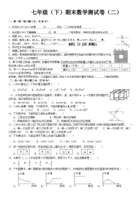 七年级（下）期末数学测试卷（含答案）