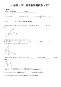 七年级（下）期末数学测试卷5（含答案）