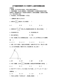 辽宁省新宾县联考2023年数学八上期末检测模拟试题【含解析】