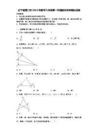 辽宁省营口市2023年数学八年级第一学期期末统考模拟试题【含解析】