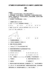 辽宁省营口市大石桥市金桥中学2023年数学八上期末复习检测试题【含解析】