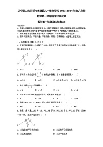 辽宁营口大石桥市水源镇九一贯制学校2023-2024学年八年级数学第一学期期末经典试题【含解析】