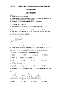 辽宁营口大石桥市水源镇九一贯制学校2023-2024学年数学八上期末考试试题【含解析】