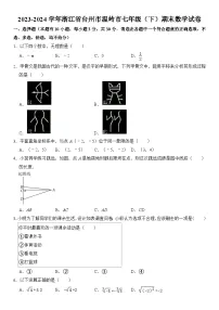 2023-2024学年浙江省台州市温岭市七年级（下）期末数学试卷 含详解