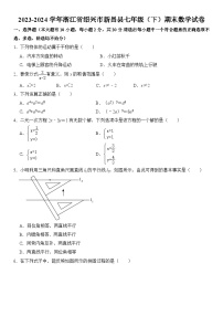 2023-2024学年浙江省绍兴市新昌县七年级（下）期末数学试卷  含详解