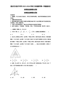 重庆巴川量子中学2023-2024学年八年级数学第一学期期末质量跟踪监视模拟试题【含解析】