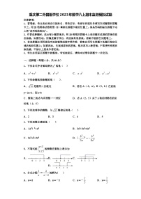 重庆第二外国语学校2023年数学八上期末监测模拟试题【含解析】