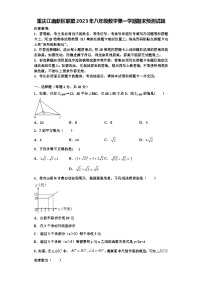 重庆江南新区联盟2023年八年级数学第一学期期末预测试题【含解析】