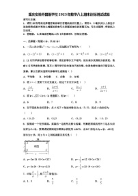 重庆实验外国语学校2023年数学八上期末达标测试试题【含解析】