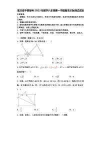 重庆梁平县联考2023年数学八年级第一学期期末达标测试试题【含解析】