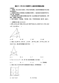 重庆十一中2023年数学八上期末统考模拟试题【含解析】