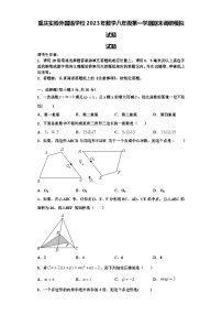 重庆实验外国语学校2023年数学八年级第一学期期末调研模拟试题【含解析】