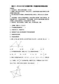 重庆十一中2023年八年级数学第一学期期末联考模拟试题【含解析】