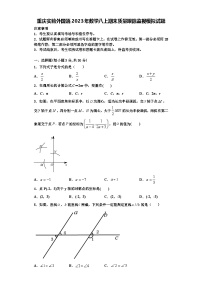 重庆实验外国语2023年数学八上期末质量跟踪监视模拟试题【含解析】