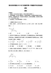 重庆实验外国语2023年八年级数学第一学期期末学业质量监测试题【含解析】