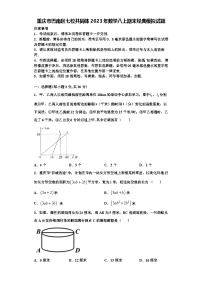 重庆市巴南区七校共同体2023年数学八上期末经典模拟试题【含解析】