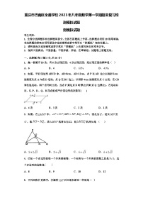 重庆市巴南区全善学校2023年八年级数学第一学期期末复习检测模拟试题【含解析】