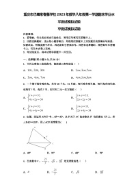 重庆市巴蜀常春藤学校2023年数学八年级第一学期期末学业水平测试模拟试题【含解析】