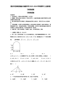 重庆市北碚区西南大附属中学2023-2024学年数学八上期末复习检测试题【含解析】