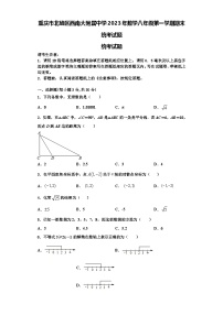 重庆市北碚区西南大附属中学2023年数学八年级第一学期期末统考试题【含解析】