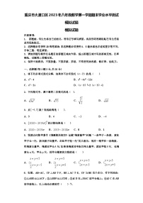 重庆市大渡口区2023年八年级数学第一学期期末学业水平测试模拟试题【含解析】