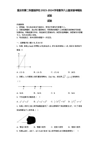 重庆市第二外国语学校2023-2024学年数学八上期末联考模拟试题【含解析】