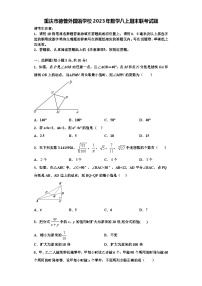 重庆市德普外国语学校2023年数学八上期末联考试题【含解析】