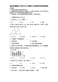 重庆市涪陵第十九中学2023年数学八上期末教学质量检测试题【含解析】
