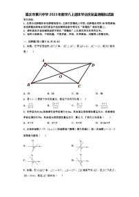 重庆市第八中学2023年数学八上期末学业质量监测模拟试题【含解析】