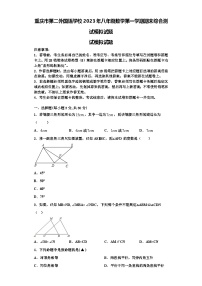 重庆市第二外国语学校2023年八年级数学第一学期期末综合测试模拟试题【含解析】