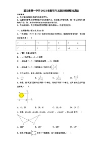 重庆市第一中学2023年数学八上期末调研模拟试题【含解析】