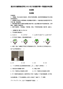 重庆市丰都县琢成学校2023年八年级数学第一学期期末考试模拟试题【含解析】