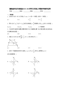 湖南省怀化市溆浦县2023-2024学年九年级上学期月考数学试卷(含答案)