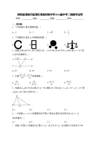 陕西省渭南市临渭区渭南初级中学2024届中考二模数学试卷(含答案)