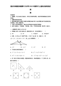 重庆市涪陵区涪陵第十九中学2023年数学八上期末达标检测试题【含解析】