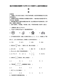 重庆市涪陵区涪陵第十九中学2023年数学八上期末检测模拟试题【含解析】