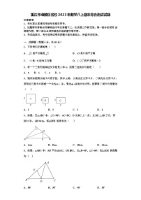 重庆市涪陵区名校2023年数学八上期末综合测试试题【含解析】