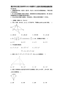 重庆市合川区太和中学2023年数学八上期末质量跟踪监视试题【含解析】