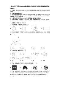 重庆市江北九校2023年数学八上期末教学质量检测模拟试题【含解析】