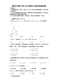 重庆市江津第二中学2023年数学八上期末达标测试试题【含解析】