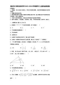 重庆市江津区实验中学2023-2024学年数学八上期末监测试题【含解析】