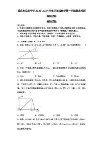 重庆市江津中学2023-2024学年八年级数学第一学期期末检测模拟试题【含解析】