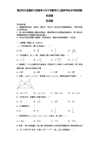 重庆市九龙坡区七校联考2023年数学八上期末学业水平测试模拟试题【含解析】