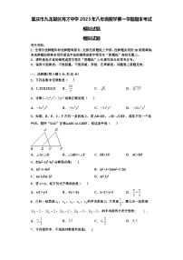 重庆市九龙坡区育才中学2023年八年级数学第一学期期末考试模拟试题【含解析】