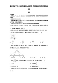 重庆市梁平区2023年数学八年级第一学期期末达标检测模拟试题【含解析】