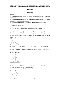 重庆市两江巴蜀中学2023年八年级数学第一学期期末质量检测模拟试题【含解析】