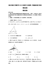 重庆市两江巴蜀中学2023年数学八年级第一学期期末复习检测模拟试题【含解析】