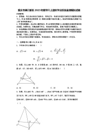 重庆市两江新区2023年数学八上期末学业质量监测模拟试题【含解析】